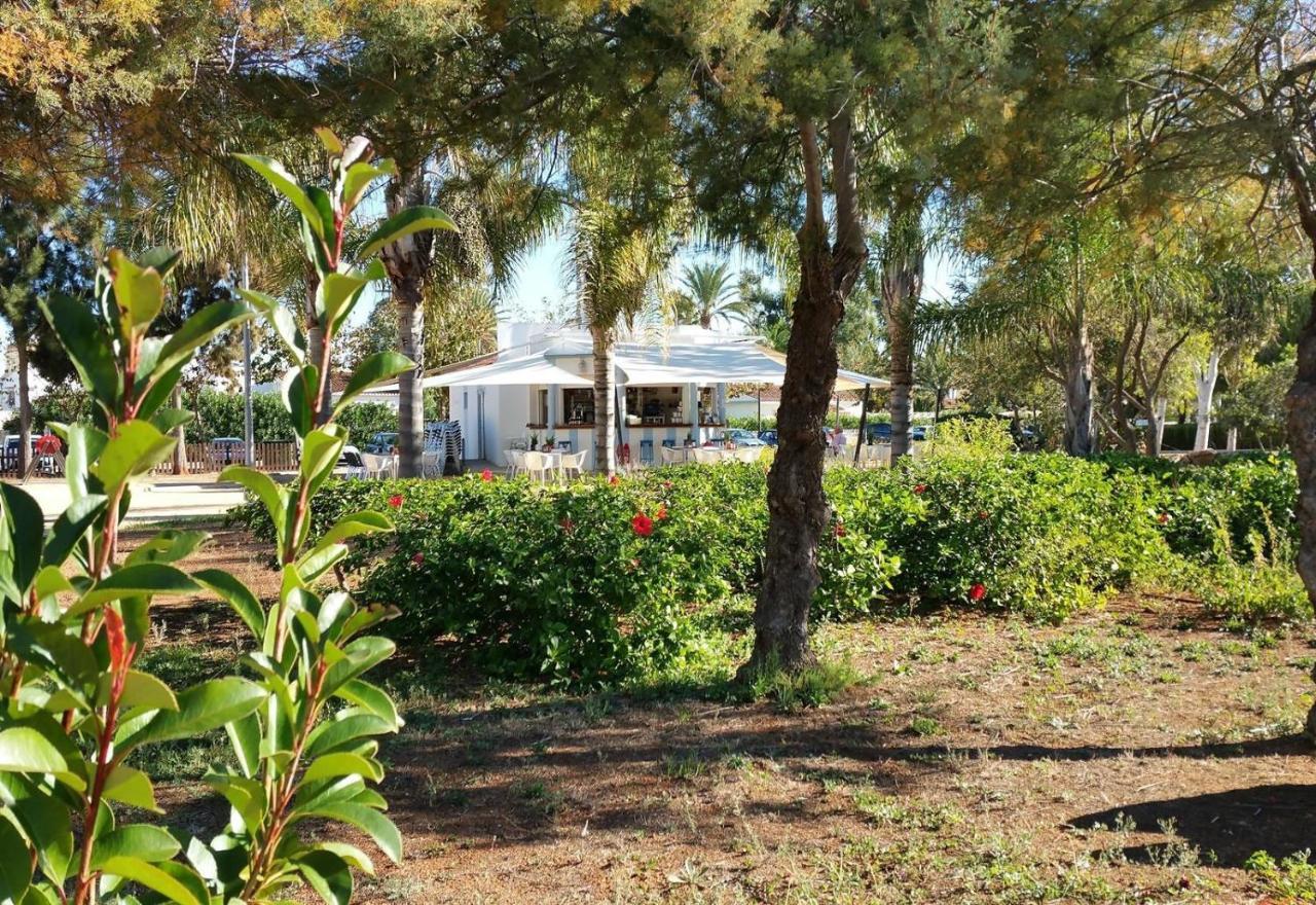 Jardines De Denia 3 Villa Exteriör bild
